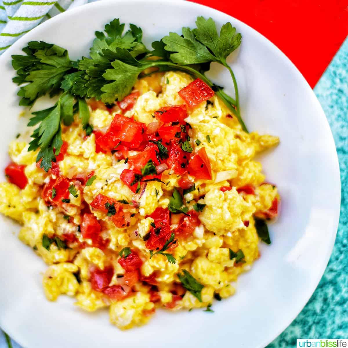 Egg Salsa