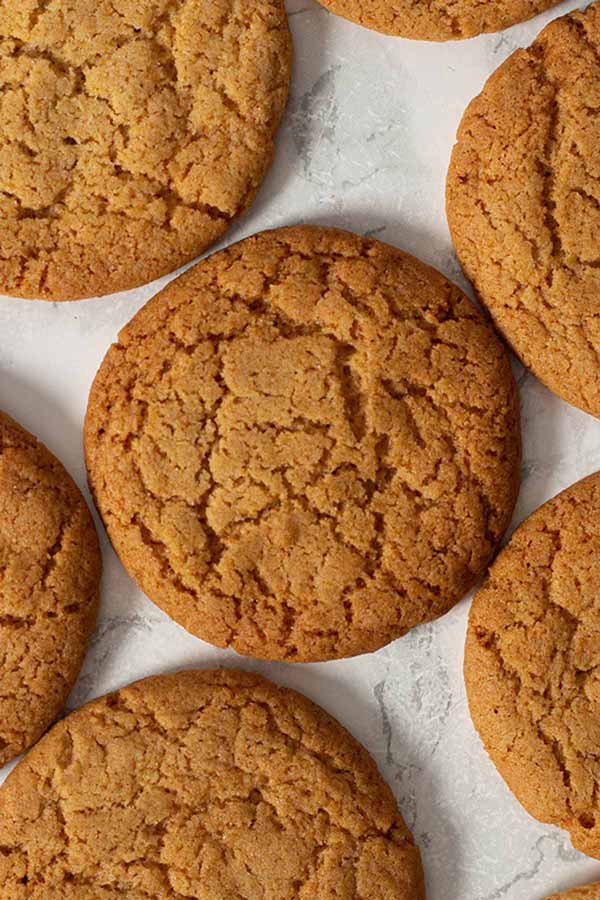 Ginger Biscuit